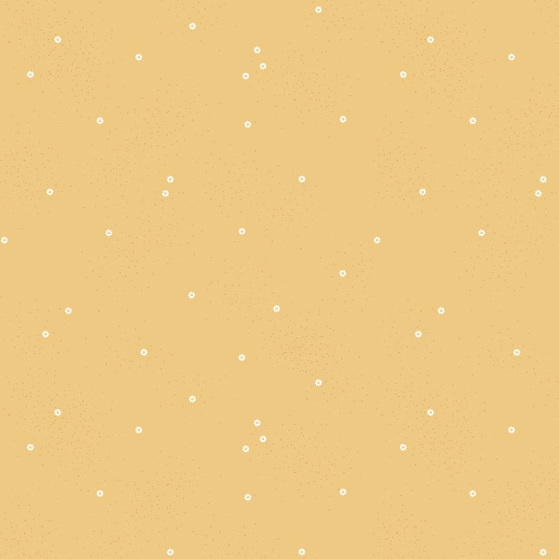 Dainty Daisy - Honey