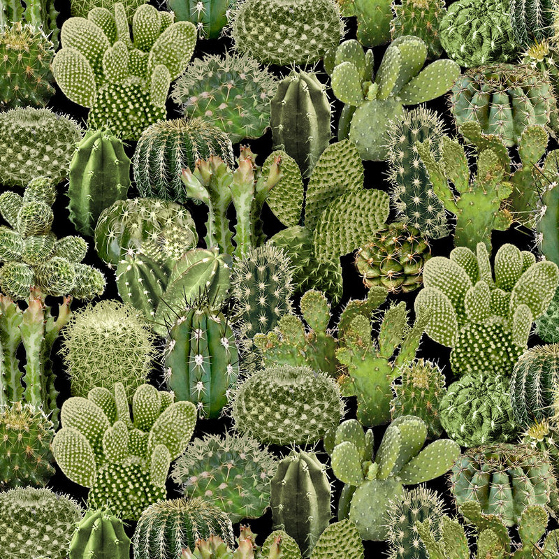 Cactus - Southwest